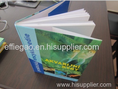 Soft Hardcover Book Glossy Lamination sewn Head and Tail Band