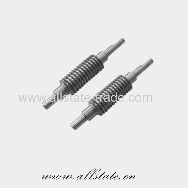 Elevator Worm Gear Screw 