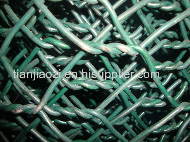 supply chicken poultry wire netting