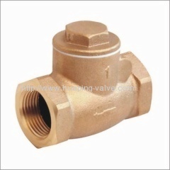 Bronze Body and Teflon Disc Check Valves