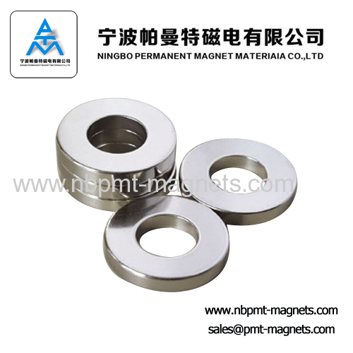 Neodymium Rare Earth Magnet