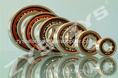 Luoyang Bearing Science&Technology Co.,Ltd