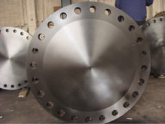 carbon steel blind flange