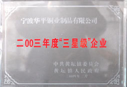 Three-Star Level Enterprise certificate in Year 2003