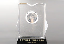 Ninghai Top 20 Industrial Potential Enterprise Award of Year 2007