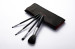 Travel cosmetic brush kits