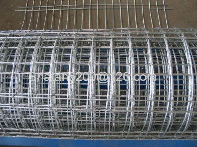 galvanized welded wire mesh