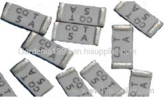 CQ24LF SURFACE MOUNT FUSES