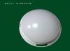 LED Commercial Ceiling Emergency Light