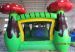 Fairness Inflatable Castle With Water Slide