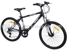 24 inch mountain bike