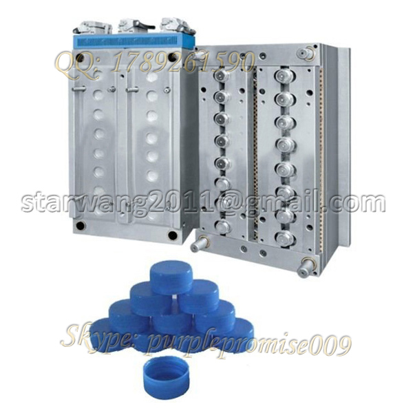 supply multi cavity mineral water bottle cap mould