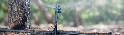 Plastic Micro Sprinkler For Micro Irrigation With Male Thread Connector.