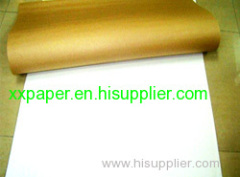 Coated white-top Kraft Paper