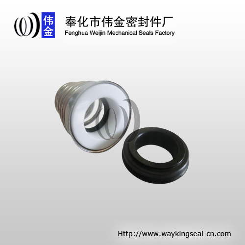 diving pump mechanical seal