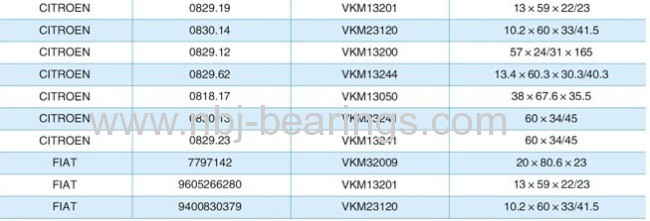 Tensioner Bearing