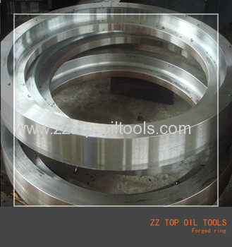 ASTM AISI Titanium Forged Ring