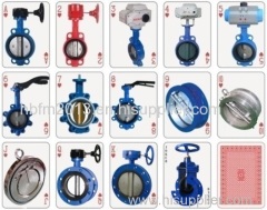 lug type flange butterfly valve