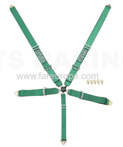 5 point safety belt