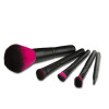 Fuchsia Color 5pcs Professional Makeup Brush set