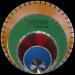 diamond tool/saw blade/diamond saw blade