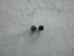 Mushroom Pin Vise Rooting Tool