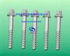 Ss8 screw spike, coach screw