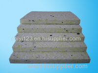 Auto motive renewable sponge