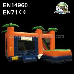 Inflatable Jumping Castle and Slide