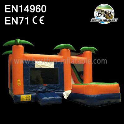 Inflatable Jumping Castle and Slide