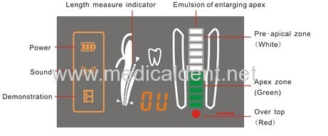 Light Weight Root Canal Apex Locator 