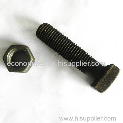 Stainless Steel Truss Head Square Neck Carriage Bolt and Nut
