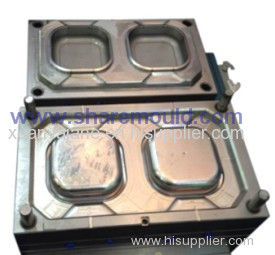 plastic injection mould for thin-wall