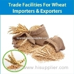 Get Trade Finance Facilities Lfor Wheat Importers & Exporters
