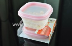 Fashionable Food Grade Silicone Fresh Box