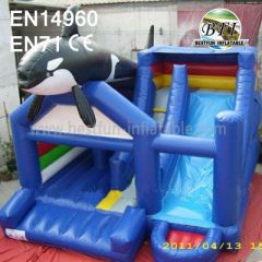 Inflatable Outdoor Toys Combo
