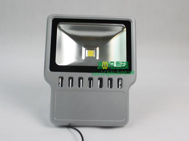 China 100w Led Floodlights