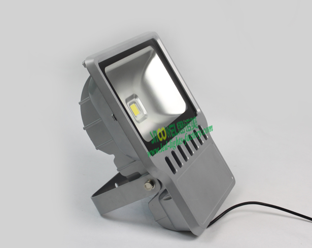 China 100w Led Floodlights