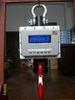 Explosion Proof Digital Crane Scale For Weighing Gas / Cast Aluminium Grade