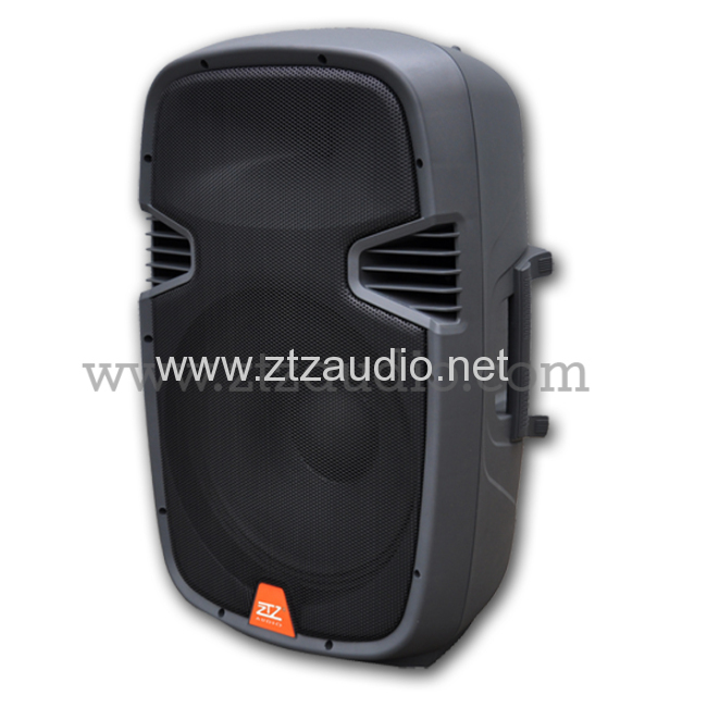 Professional active speaker box TN1201 