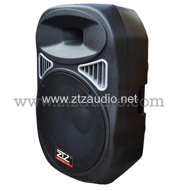 Professional active & passive speaker box TN1202 series