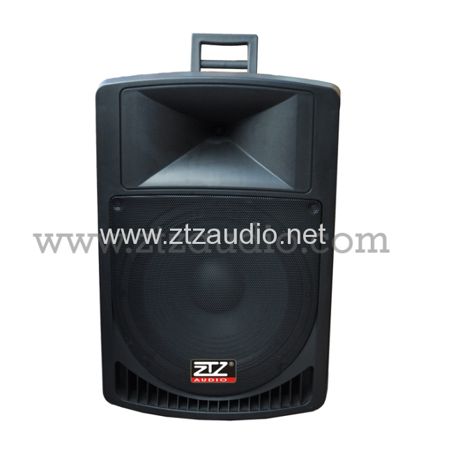Professional active & passive speaker box TN1503 series