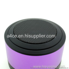 Mini portable Bluetooth speaker for iPad and iPhone