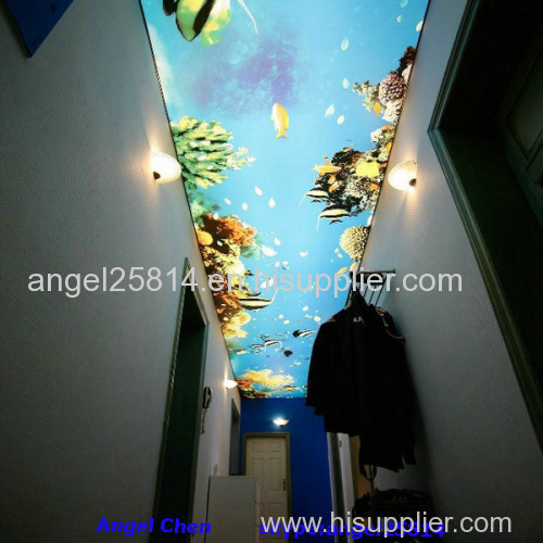 PVC ceiling film manufacturer