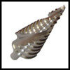 Spiral fluted HSS Step Drill