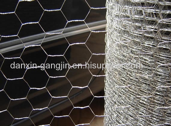 SWG 18-25# S.S Hexagonal Wire Netting 
