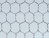 SWG 18-25# S.S Hexagonal Wire Netting