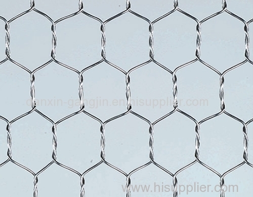 SWG 18-25# S.S Hexagonal Wire Netting