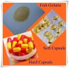 high quality fish gelatin for soft capsule