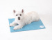 ecofriendly cool pet mat